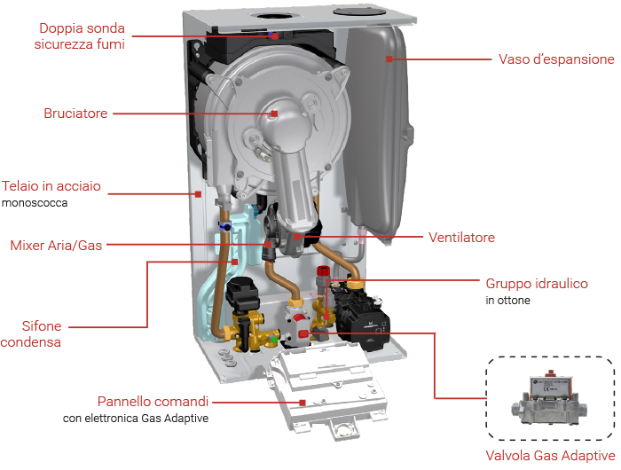 rinnova adaptive interno